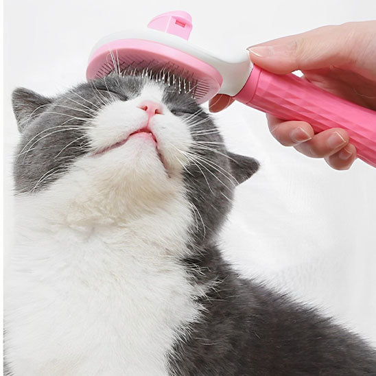 Brosse pour chat Pro