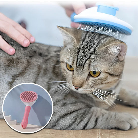 Brosse pour chat Pro