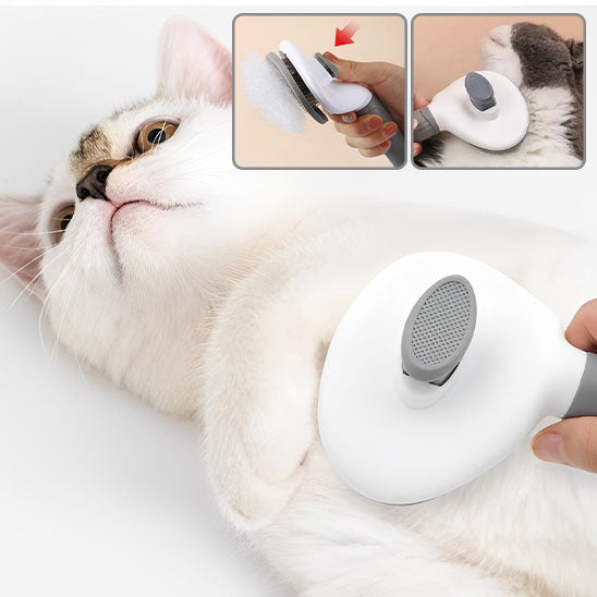 Brosse pour chat Pro