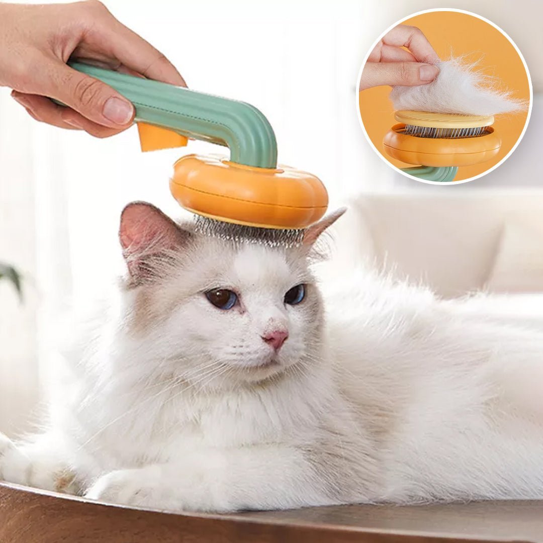 Brosse pour chat - Citrouille - Toutchat - Pourchat