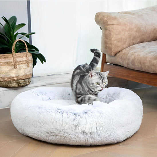 Coussin pour chat - Cloud