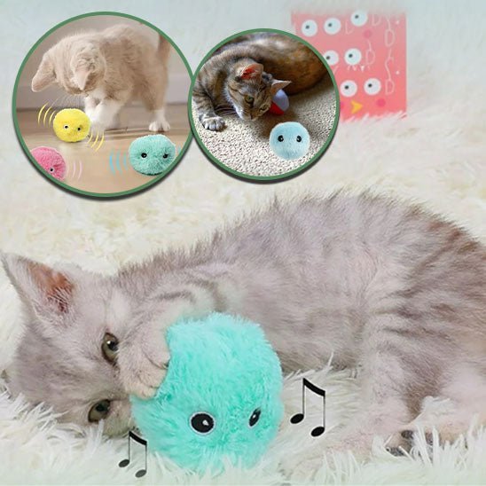 Jouet pour chat - balle musicale - Toutchat - Pourchat