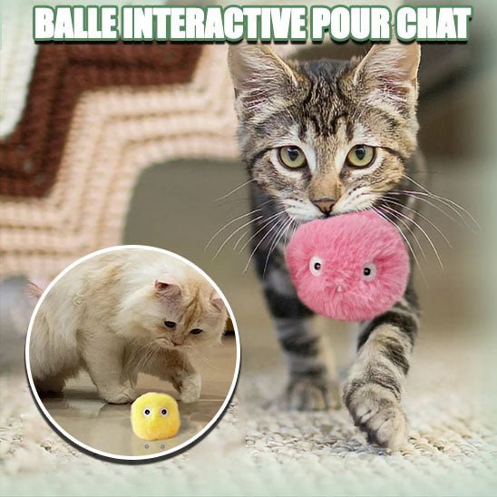 Jouet pour chat - balle musicale - Toutchat - Pourchat